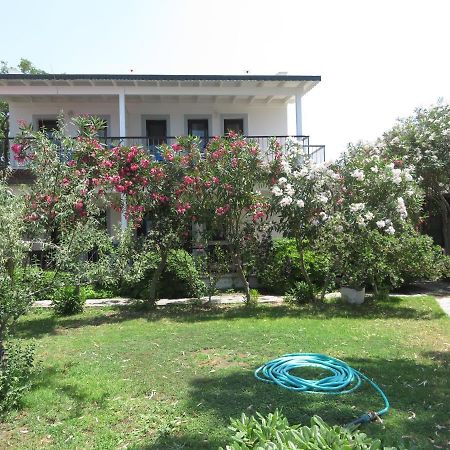 גומושלוק Arriba Pension & Restaurant מראה חיצוני תמונה