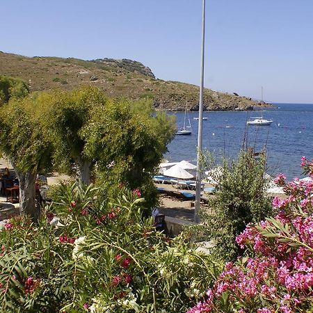 גומושלוק Arriba Pension & Restaurant מראה חיצוני תמונה