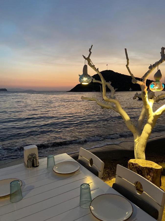 גומושלוק Arriba Pension & Restaurant מראה חיצוני תמונה