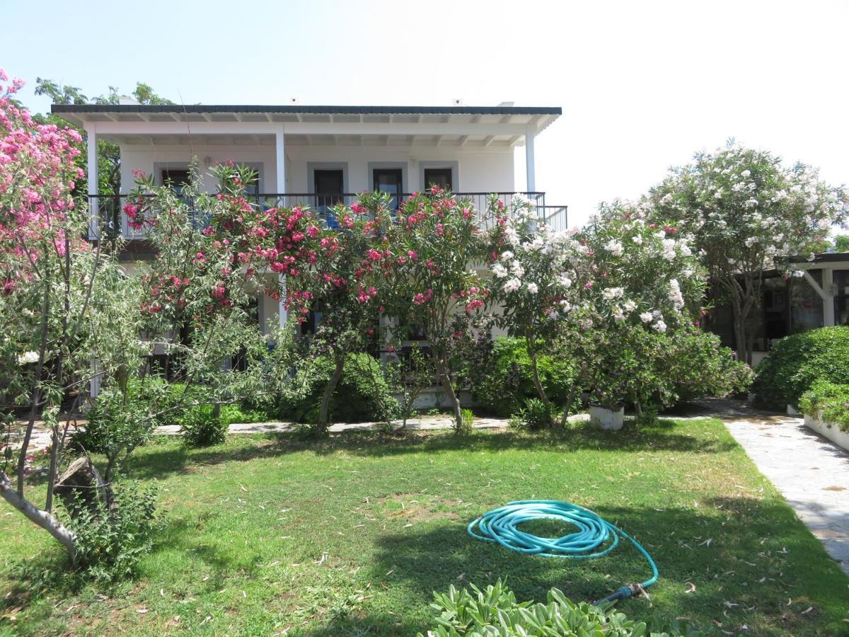 גומושלוק Arriba Pension & Restaurant מראה חיצוני תמונה
