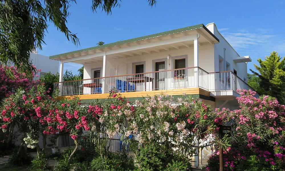 גומושלוק Arriba Pension & Restaurant מראה חיצוני תמונה