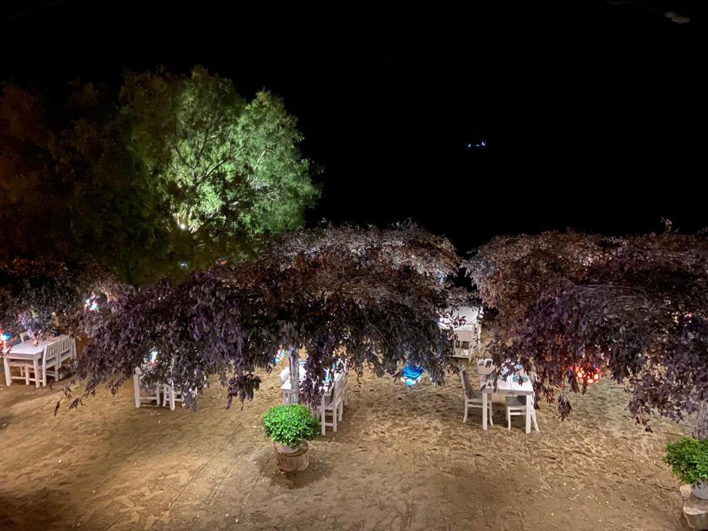 גומושלוק Arriba Pension & Restaurant מראה חיצוני תמונה