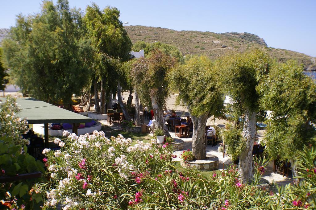 גומושלוק Arriba Pension & Restaurant מראה חיצוני תמונה
