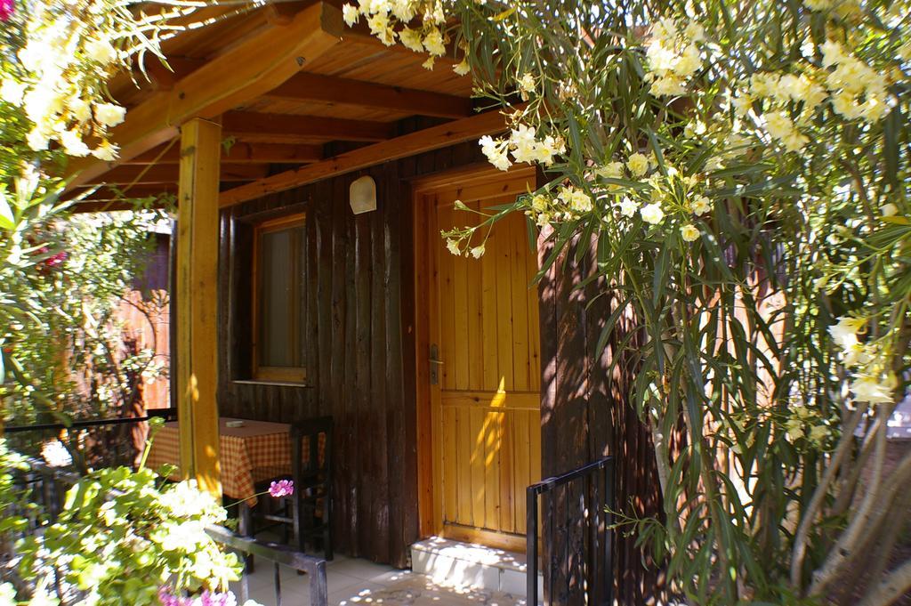 גומושלוק Arriba Pension & Restaurant מראה חיצוני תמונה