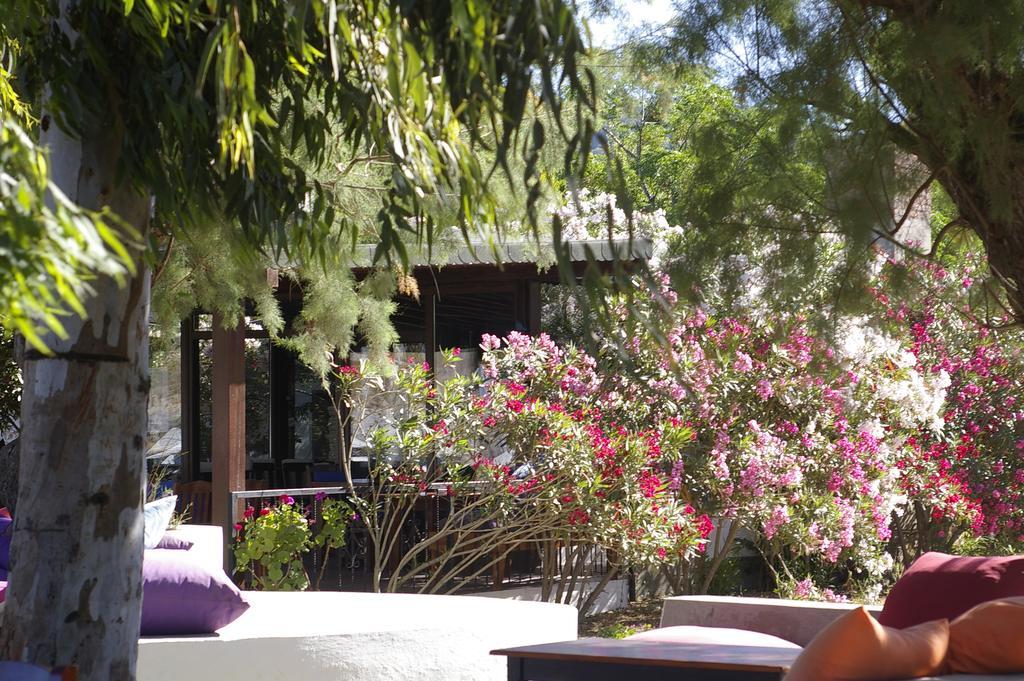 גומושלוק Arriba Pension & Restaurant מראה חיצוני תמונה