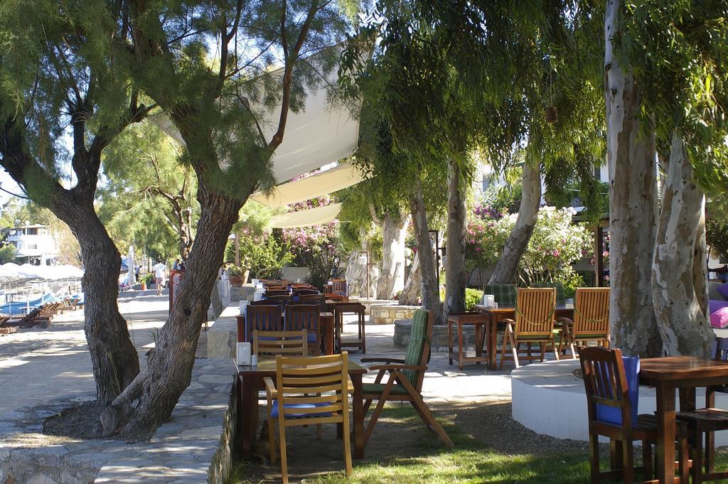 גומושלוק Arriba Pension & Restaurant מראה חיצוני תמונה