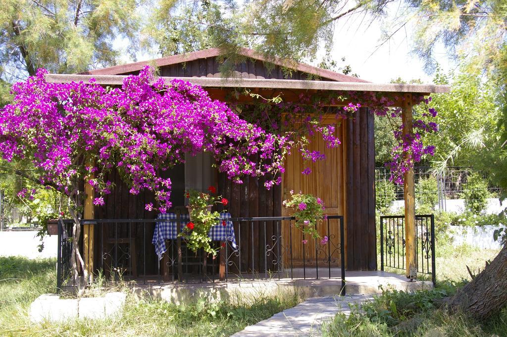 גומושלוק Arriba Pension & Restaurant מראה חיצוני תמונה