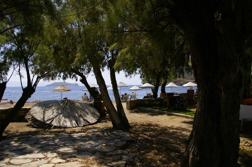 גומושלוק Arriba Pension & Restaurant מראה חיצוני תמונה