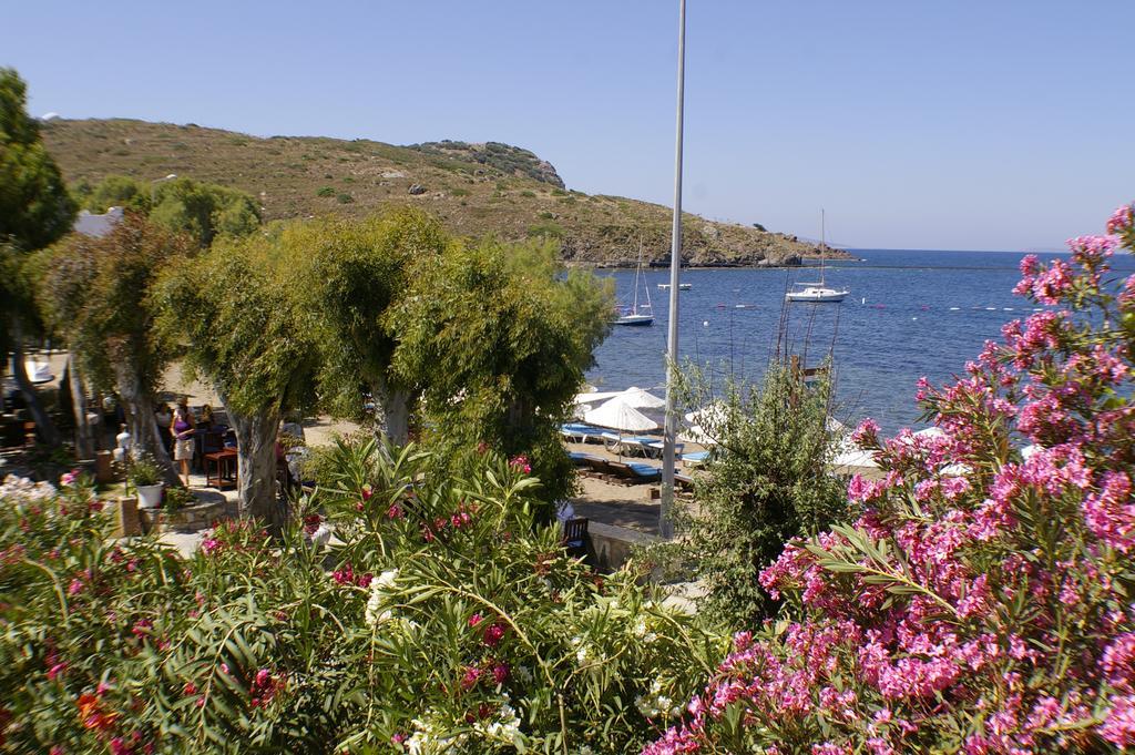גומושלוק Arriba Pension & Restaurant מראה חיצוני תמונה